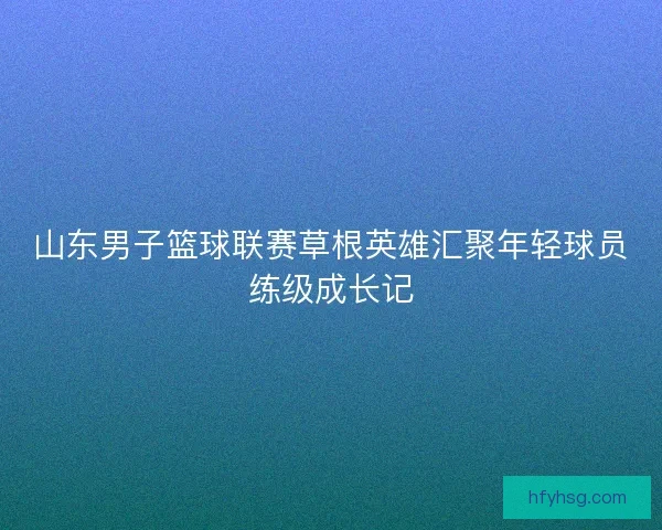 山东男子篮球联赛草根英雄汇聚年轻球员练级成长记